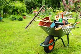 corso-manutentore-verde-coltivazioni agricole-manutenzione di parchi e giardini-roma